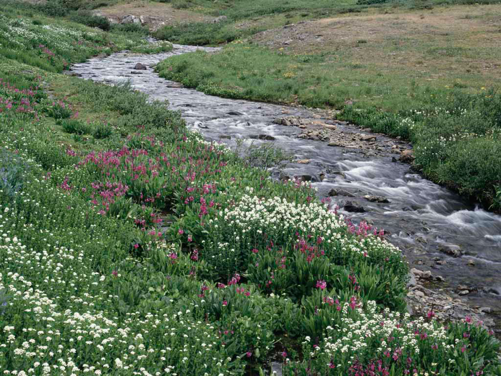 NRG Controls North Green Initiative
